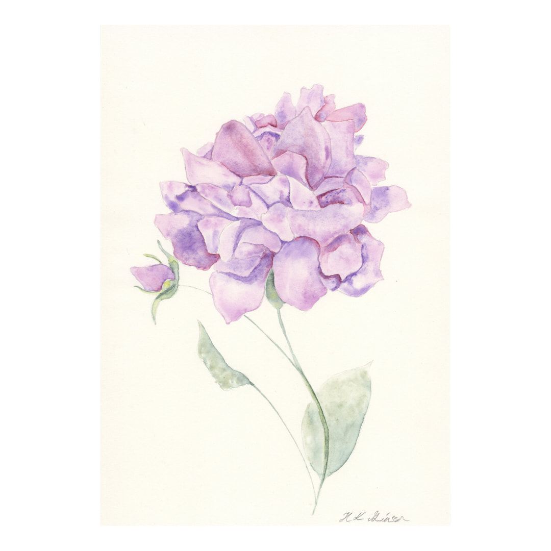Lilac Rose Watercolor Painting