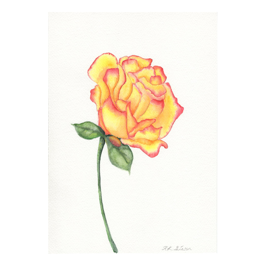 Yellow and Pink Rose Watercolor Painting