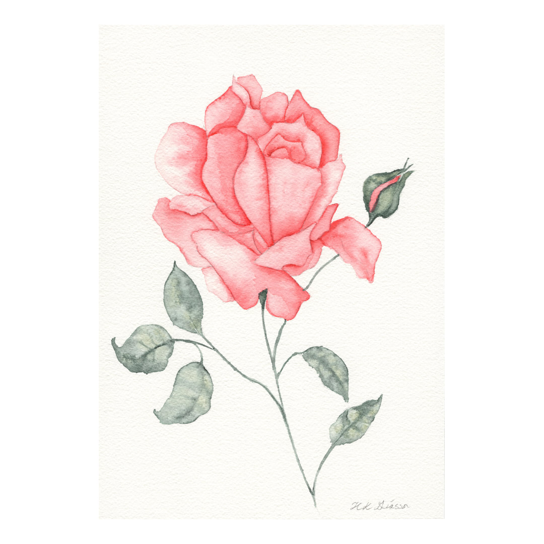 Blush Pink Rose Watercolor Painting