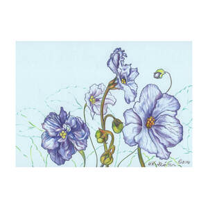 Violet Parade 4 Color Pencil on Blue Paper Floral Drawing